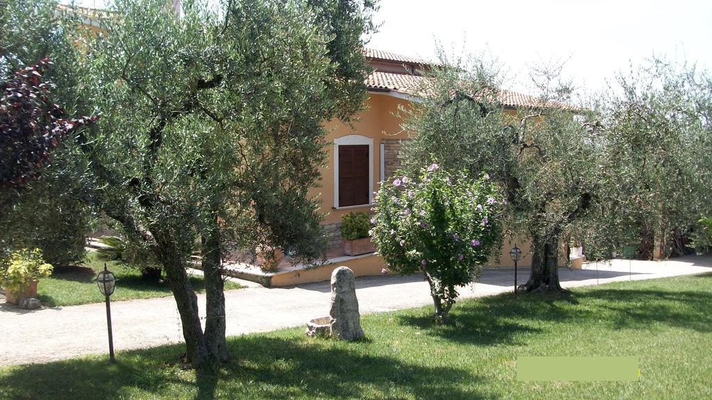 Il Giardino Degli Ulivi Bed and Breakfast Canneto  Exteriör bild