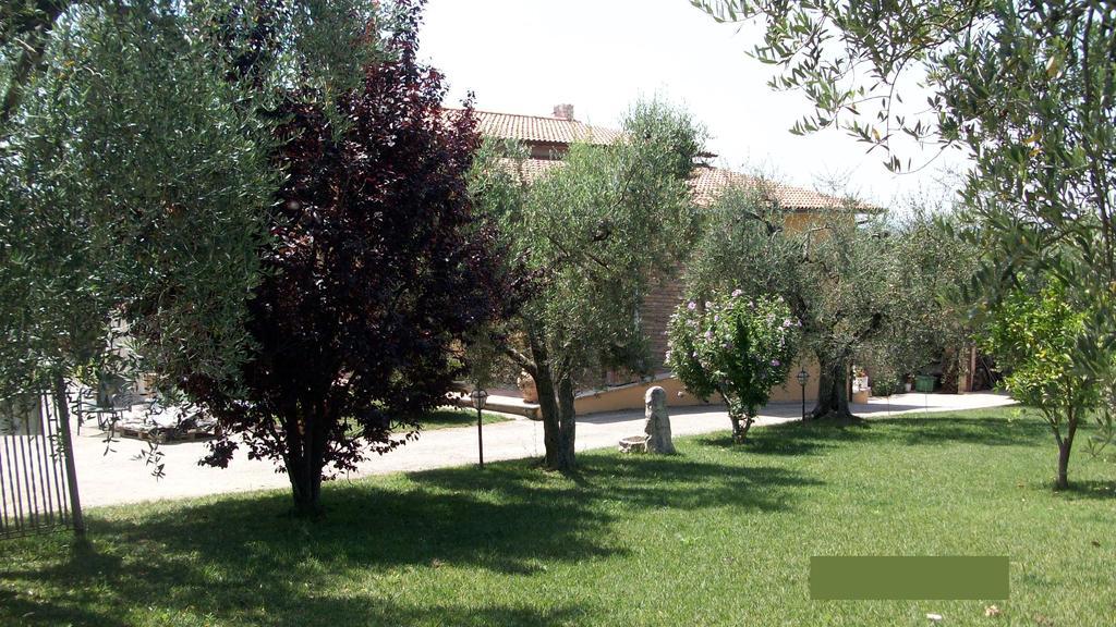 Il Giardino Degli Ulivi Bed and Breakfast Canneto  Exteriör bild