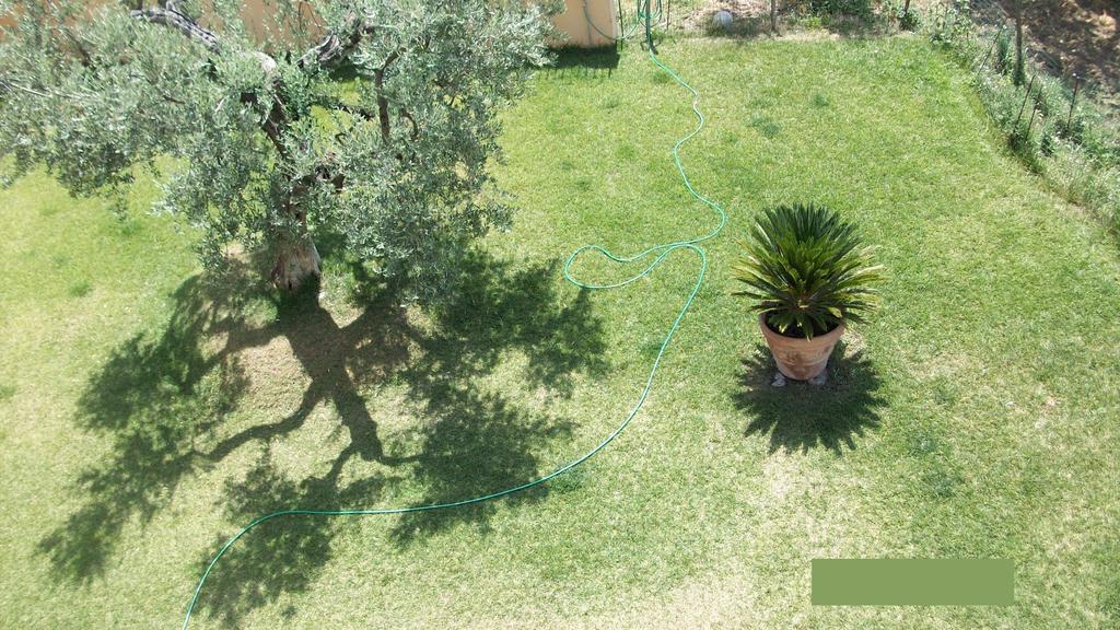 Il Giardino Degli Ulivi Bed and Breakfast Canneto  Exteriör bild