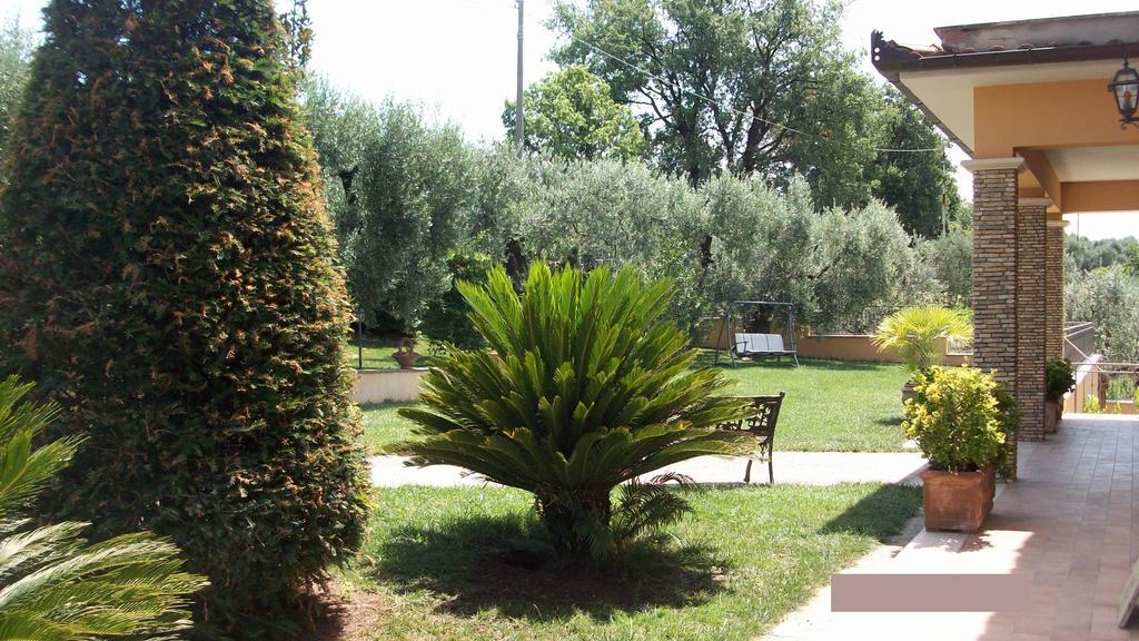 Il Giardino Degli Ulivi Bed and Breakfast Canneto  Exteriör bild